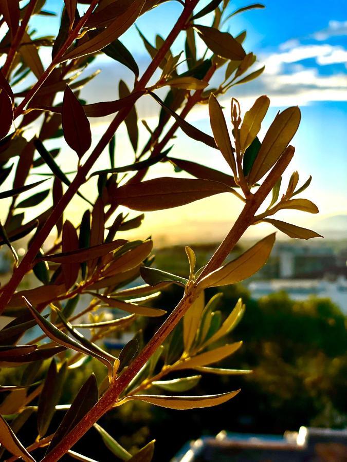 Rooftop Apartement - Quartier Croisette - Esc'Appart Cannes Zewnętrze zdjęcie